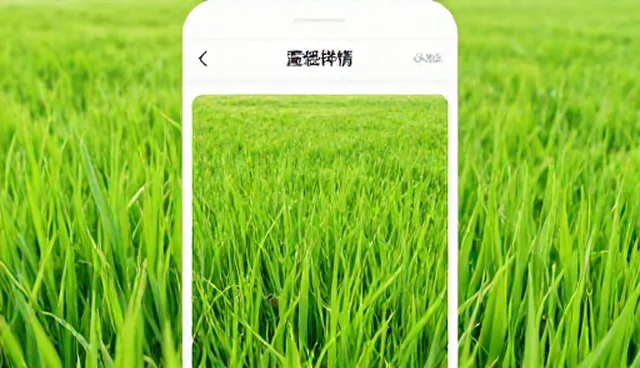 设备维护中小程序选型与使用建议